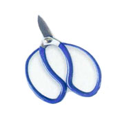 Stainless Scissors Stainless Scissors