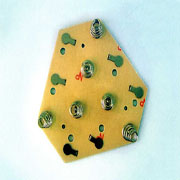 Spring Slice(Down)